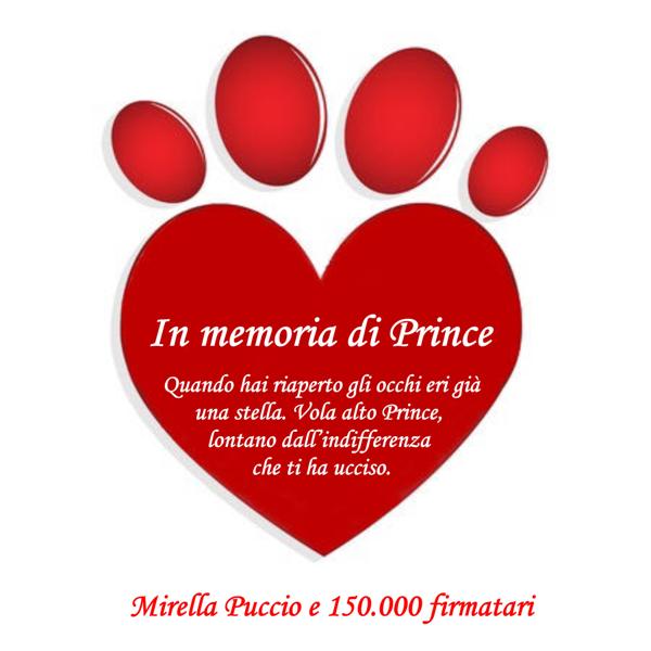 orma-cuore-prince
